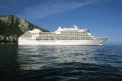 radissonnavigator1.jpg - 23791 Bytes